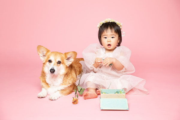 犬と家族の写真撮影