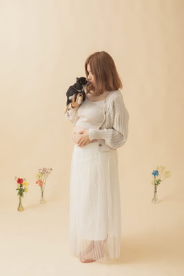 犬の写真