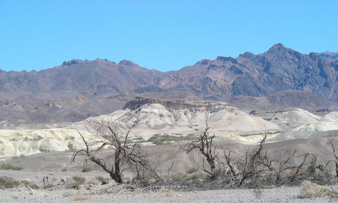 Death Valley - Amerika 2008