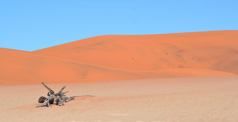 Deadvlei - Namibië 2014