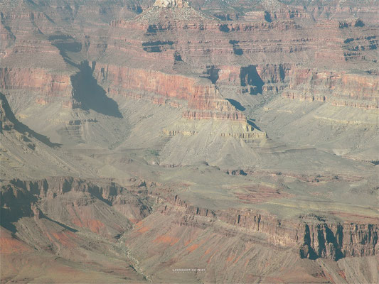 Grand Canyon - Amerika 2008