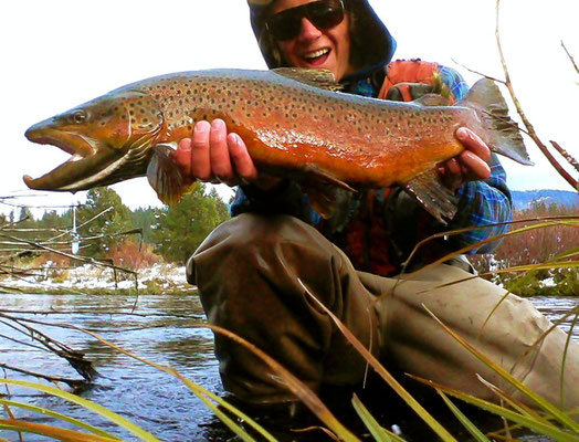 28 inch browns can happen