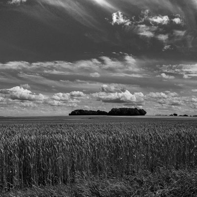 Le Vexin entre Mantes et Le Breuil en Vexin