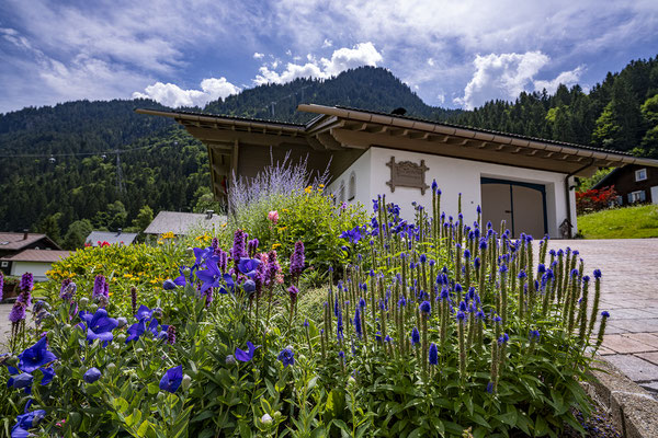 Appartment Monika in St. Gallenkirch im Montafon