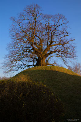 Tumulus1