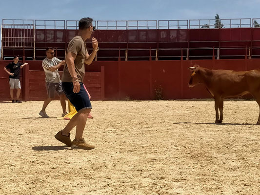 suelta de vaquillas en Chiclana de la Frontera