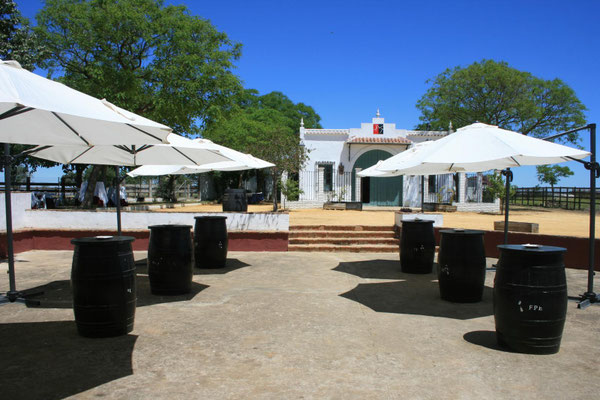 finca para organizar una suelta de vacas (capea) en Sevilla