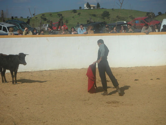 Fotos toreando vaquillas