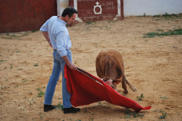 Galería de fotos en finca para capeas Sevilla