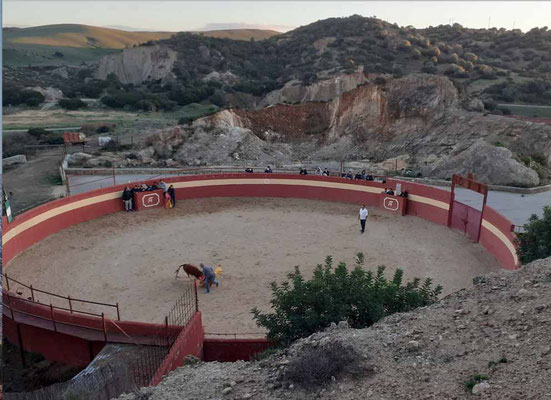 donde celebrar una fiesta con capeas en Cádiz