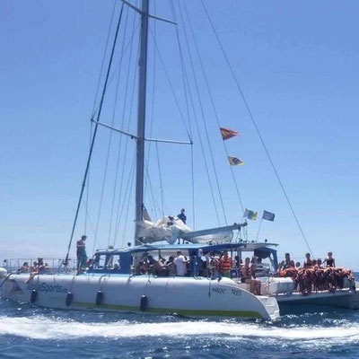 Paseo en barco Maspalomas