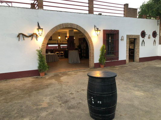 finca para organizar una suelta de vacas (capea) en Sevilla