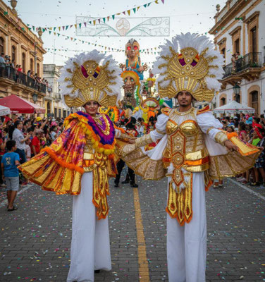 zancudos para fiestas de carnaval
