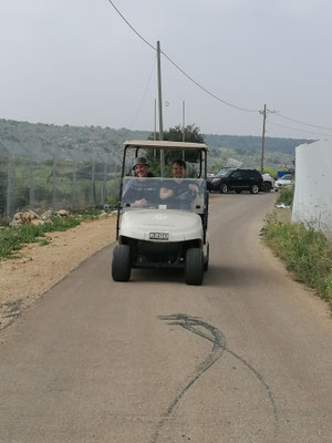 mit dem Clubcar zur Plantage