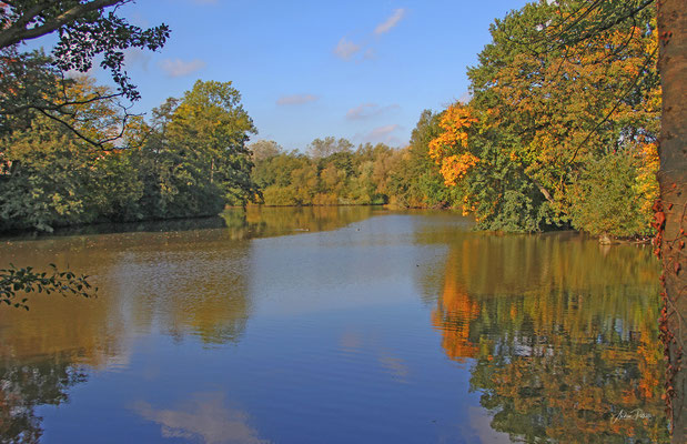 Schwarzenteich
