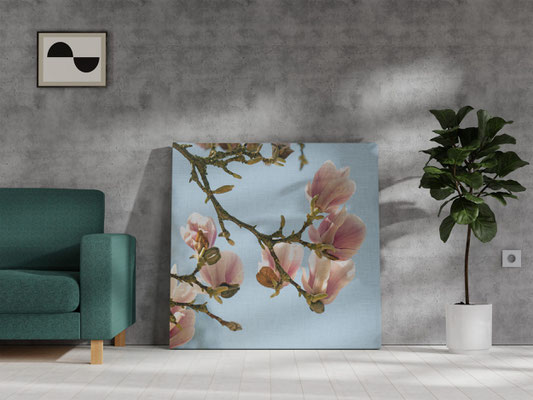 https://www.otto.de/p/raxxa-leinwandbild-magnolienblueten-fotodruck-S0KDN0M1/#variationId=S0KDN0M1THSI