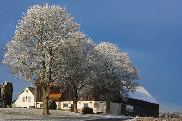 Winterzauber; Foto: Dieter Neumann