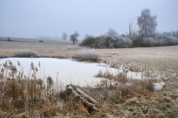 Novembergrau; Foto: Josef Beinrucker