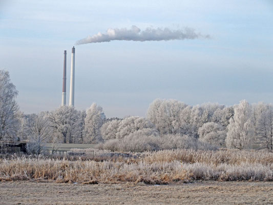 Kalter Morgen; Foto: Annelies Neumann