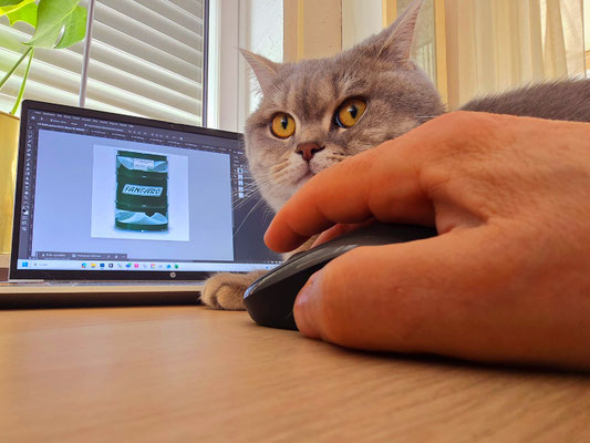 Katz und Maus im Homeoffice; Foto: Uwe Kragl