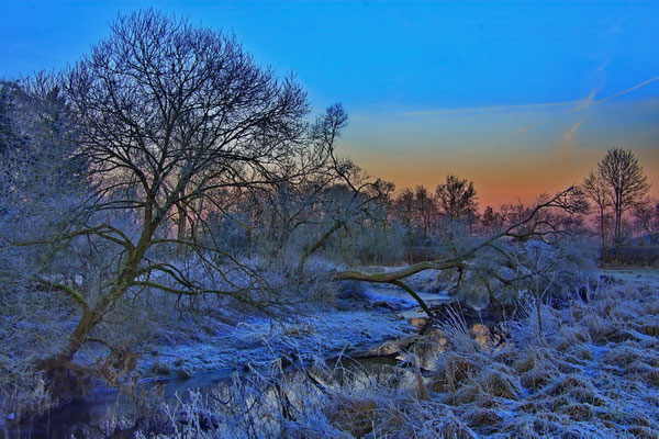 Wintermorgen; Foto: Dieter Neumann