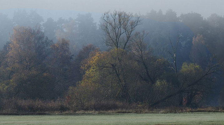 Herbstmorgen; Foto: Annelies Neumann