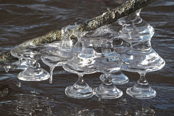 Eisglocken an der Haidenaab; Foto: Annelies Neumann