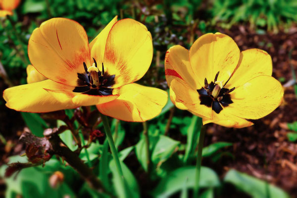 Sonne genießen