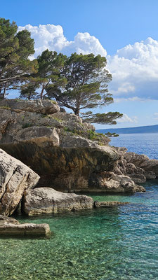 Mediterran