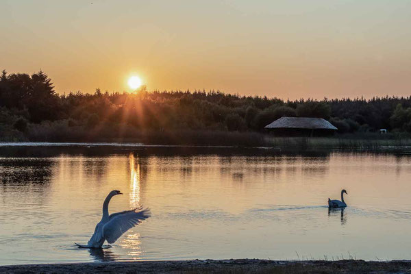 Abend in Irland; Foto: Karin Weinzierl