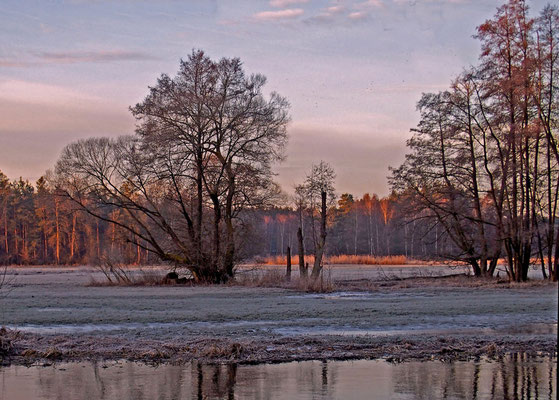 Erstes Licht; Foto: Annelies Neumann