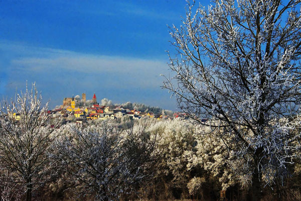 Wintermorgen; Foto: Dieter Neumann