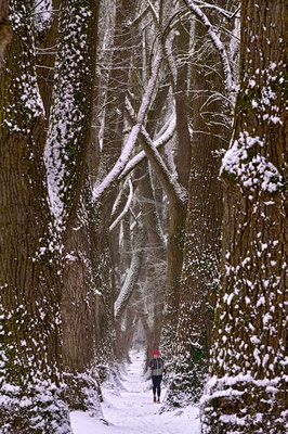 Schneelauf; Foto: Bernhard Forster