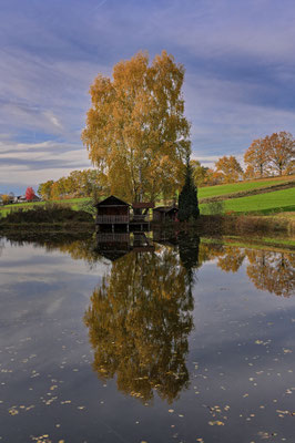 Am Seehaus; Foto: Bernhard Forster