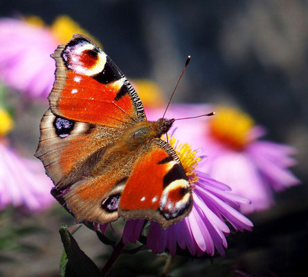 Letzte Kraftquelle; Foto: Annelies Neumann