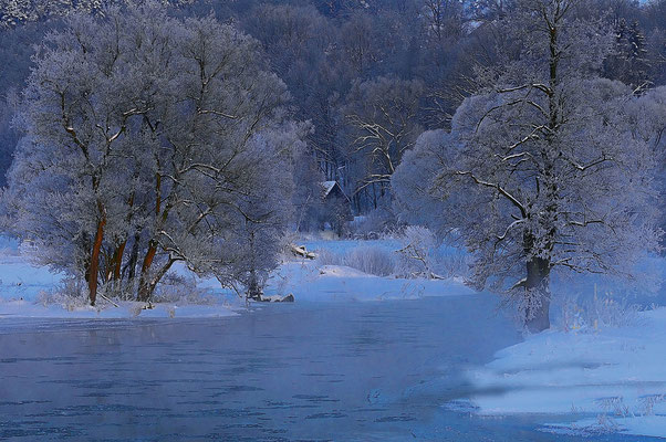 Wintermorgen; Foto: Dieter Neumann