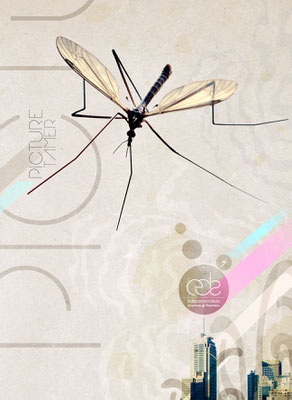 Conception photomontage, Picture tamer.