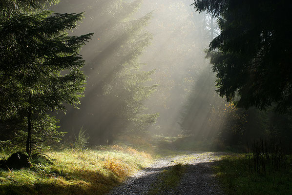 Bild-3