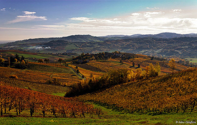 PANORAMA