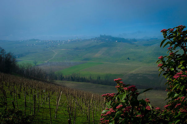 PANORAMA IN VAL TIDONE