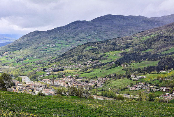 BETTOLA