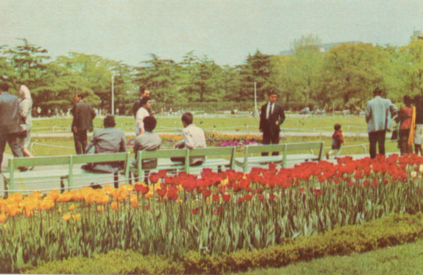 日比谷公園