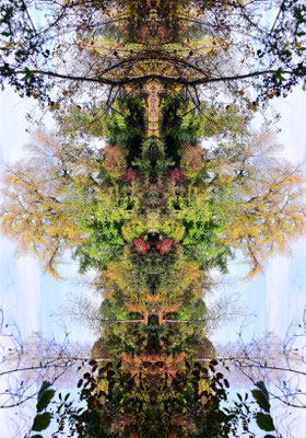ARTwork: ARTist Andreas Ender (AT) | SELECTed . 24 - Listen - the spirit of Mother NATURE (2019 - 2026) - Edition of 3 - 80x120x4cm | Preis: 987,00€