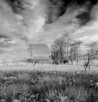 ARTwork: Walter de Meijer (AT) | SELECTed . 20