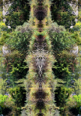ARTwork: ARTist Andreas Ender (AT) | SELECTed . 24 - Listen - the spirit of Mother NATURE (2019 - 2026) - Edition of 3 - 80x120x4cm | Preis: 987,00€
