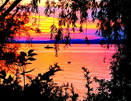 ARTwork: Elke Arndt (CH) - SELECTed . 20 | Titel: Sonnenuntergang