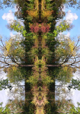ARTwork: ARTist Andreas Ender (AT) | SELECTed . 24 - Listen - the spirit of Mother NATURE (2019 - 2026) - Edition of 3 - 80x120x4cm | Preis: 987,00€