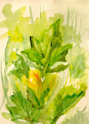 "Kürbisblüte", Aquarell, 21x30