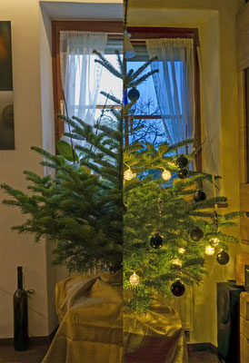 Sabine Matthis;  Zwei Aufnahmen des Weihnachtsbaumes neu zusammengestellt.
