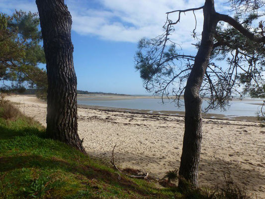 Plage de Légenèse: La Trinité-sur-Mer